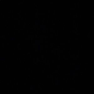 Meet your Posher, Jayden